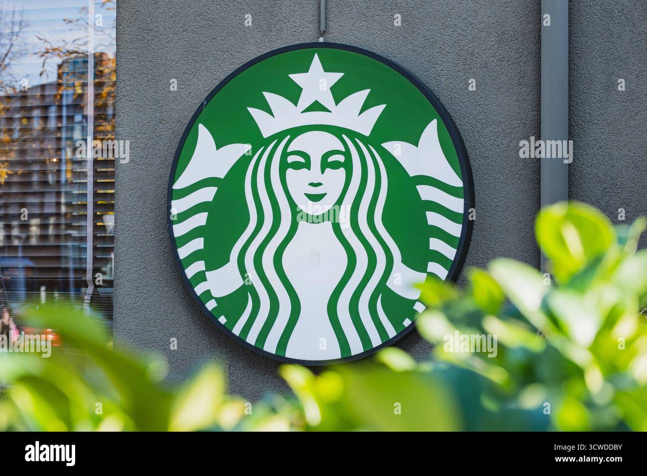 Starbucks Kaffeehaus Logo am Eingang zum Café Stockfoto