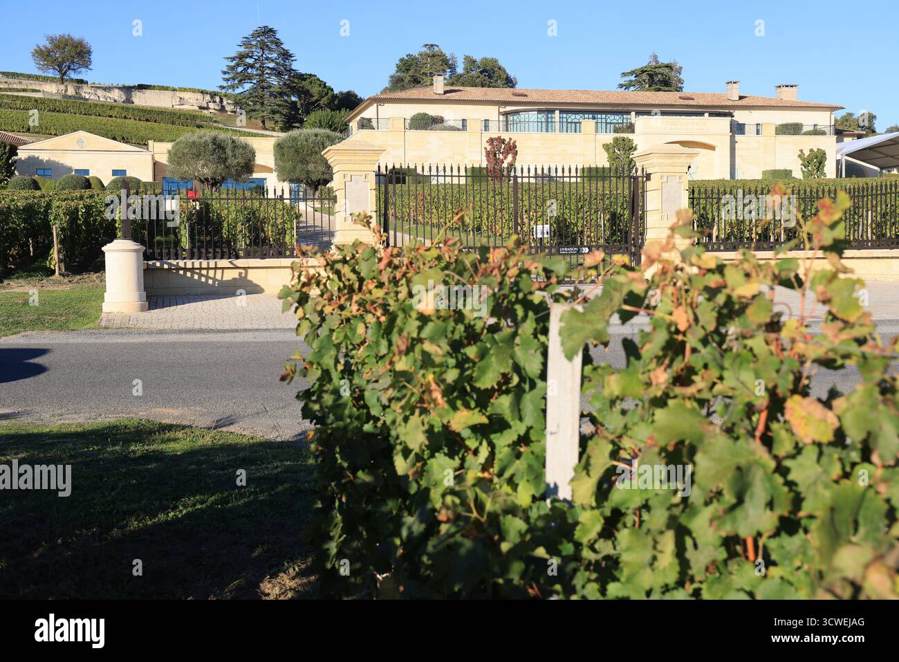 Saint-Emilion. Château Pavie, ein Weingut, dessen Wein ein Premier Grand Cru Classé A in den Saint-Emilion-Weinen ist. Gironde, Frankreich. Stockfoto Saint-Emilion. Château Pavie, ein Weingut, dessen Wein ein Premier Grand Cru Classé A in den Saint-Emilion-Weinen ist. Gironde, Frankreich. Stockfoto
