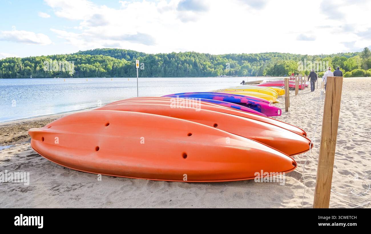 Farbenfrohe Kajaks ruhen am Sandstrand neben dem ruhigen See aus, mit lebhaften Farben und einer ruhigen Naturkulisse, die eine perfekte Kulisse für Outdoor-Aktivitäten schaffen Stockfoto