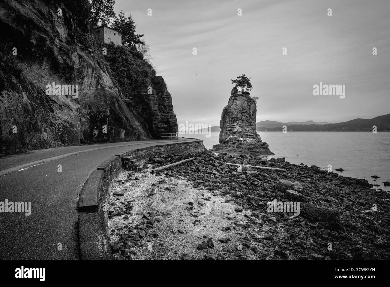 Eine gewundene Küstenstraße führt entlang einer markanten Felsformation, die von einem Baum gekrönt ist. Die Landschaft ist in Schwarz-weiß gehalten, was eine dramatische und zeitliche Atmosphäre verleiht Stockfoto
