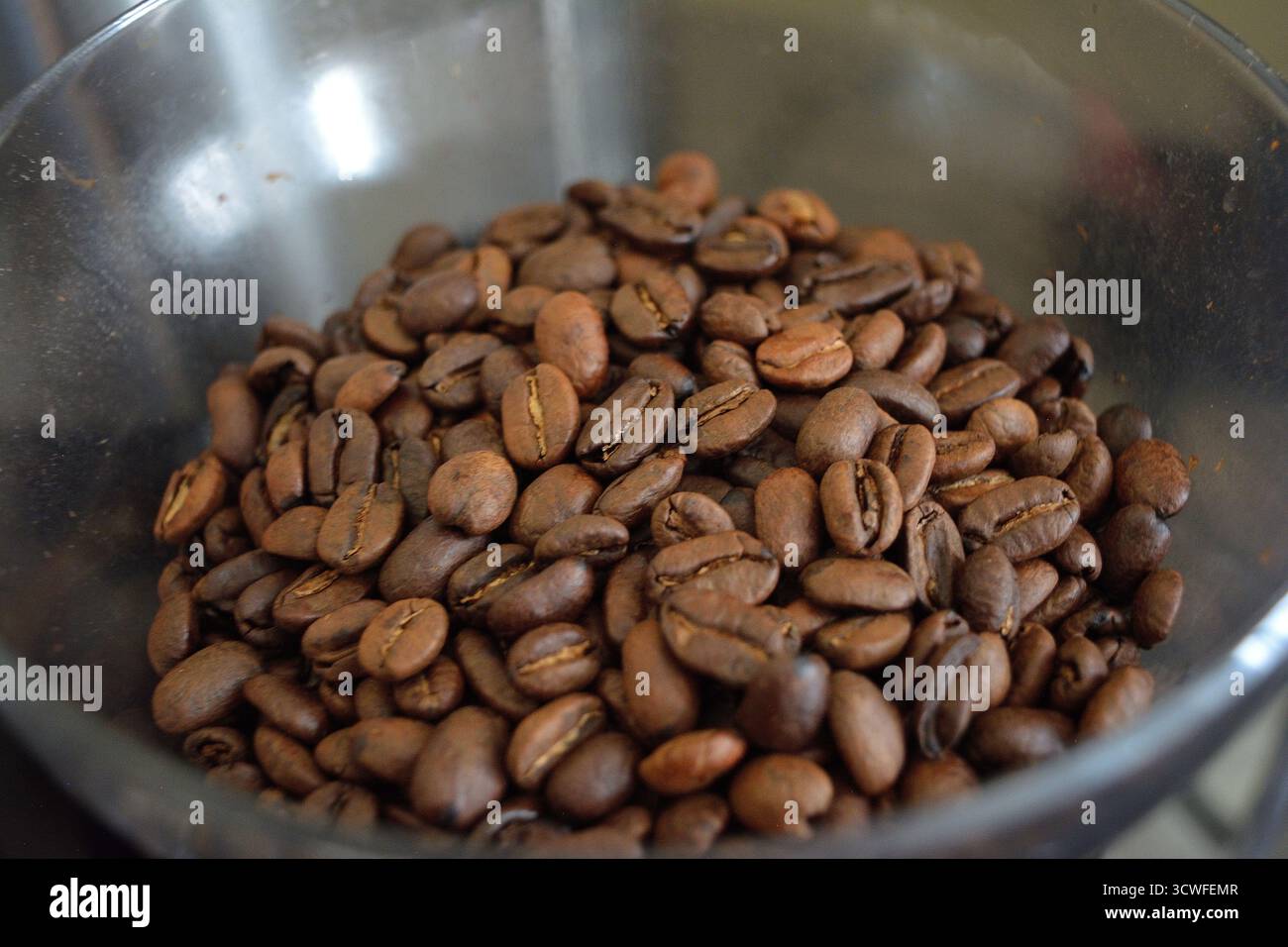 Frisch geröstete Kaffeebohnen in einem Mahlgutbehälter Stockfoto