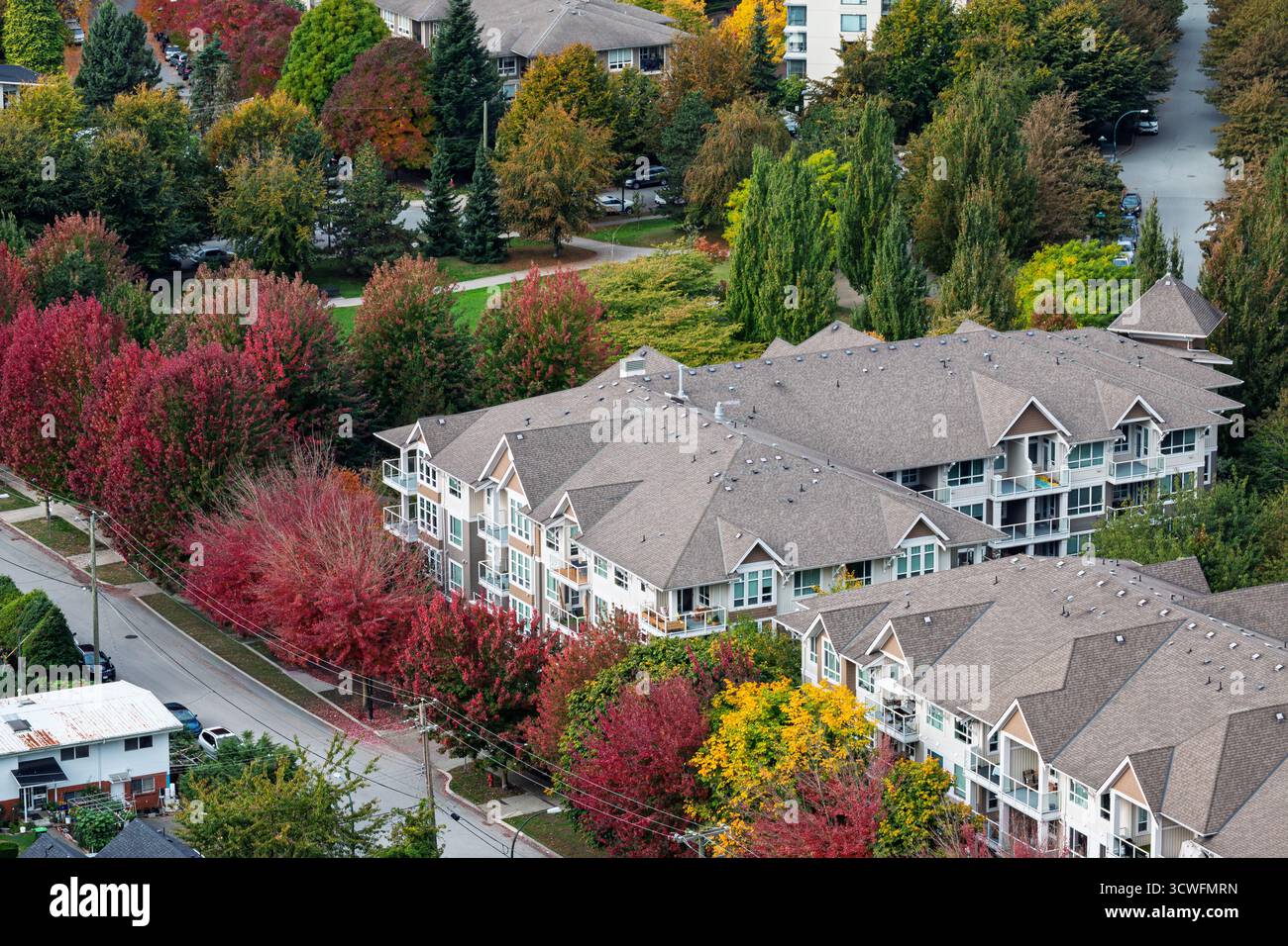 In Vancouver werden die Straßen im Herbst in lebendigen Farben lebendig. In Rot und Gold gekleidete Bäume umgeben gemütliche Häuser und schaffen eine malerische Szene Stockfoto