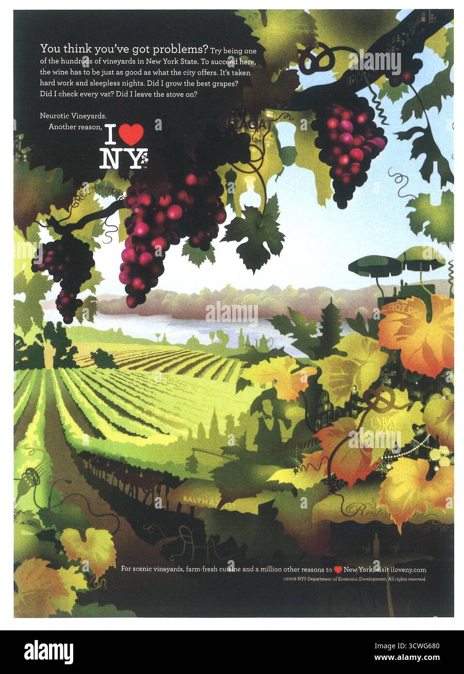 2008 New York State Werbespot mit Weinbergen Stockfoto