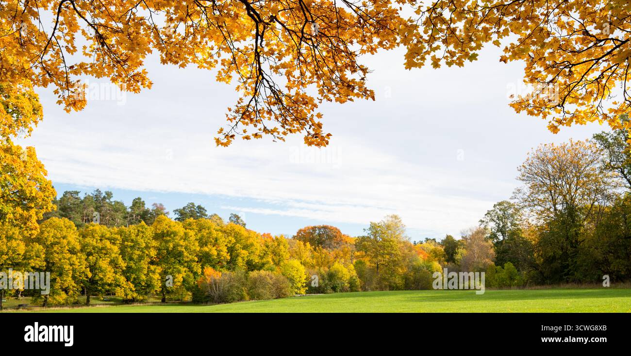 Panorama einer herbstlichen Landschaft, eingerahmt von Ästen mit orangefarbenem und gelbem Laub, mit bunten Bäumen in der Ferne Stockfoto