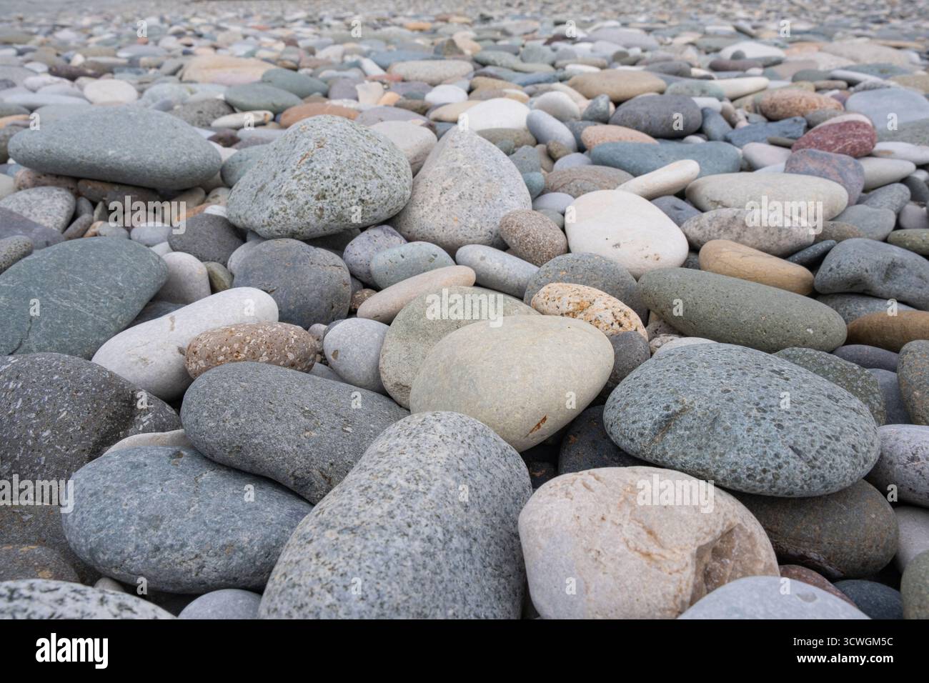 Bunte Kieselsteine am Strand. Texturen und Muster von glatten runden Kiessteinen. Nahaufnahme Stockfoto