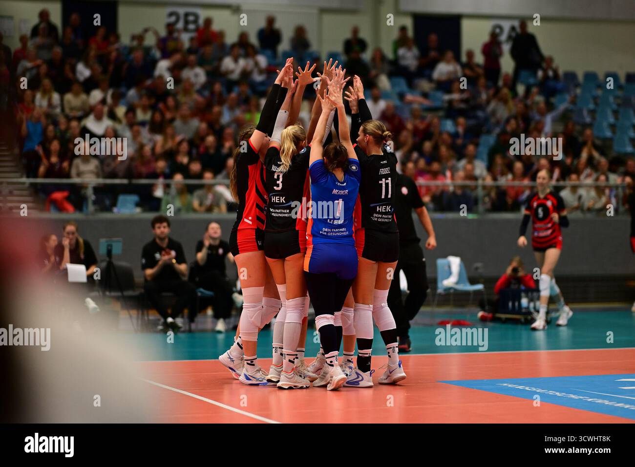 ETV Hamburger Volksbank Volleys zusammen Foto:EIbner-Pressefoto/Felix Schlikis Stockfoto