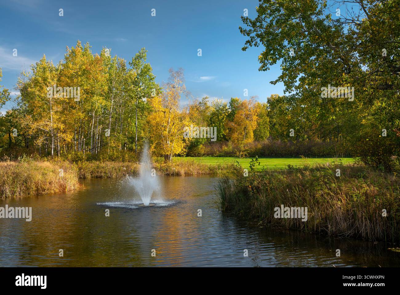 Ein malerischer Blick auf den Golfplatz in Buffalo Point, Manitoba, Kanada. Stockfoto