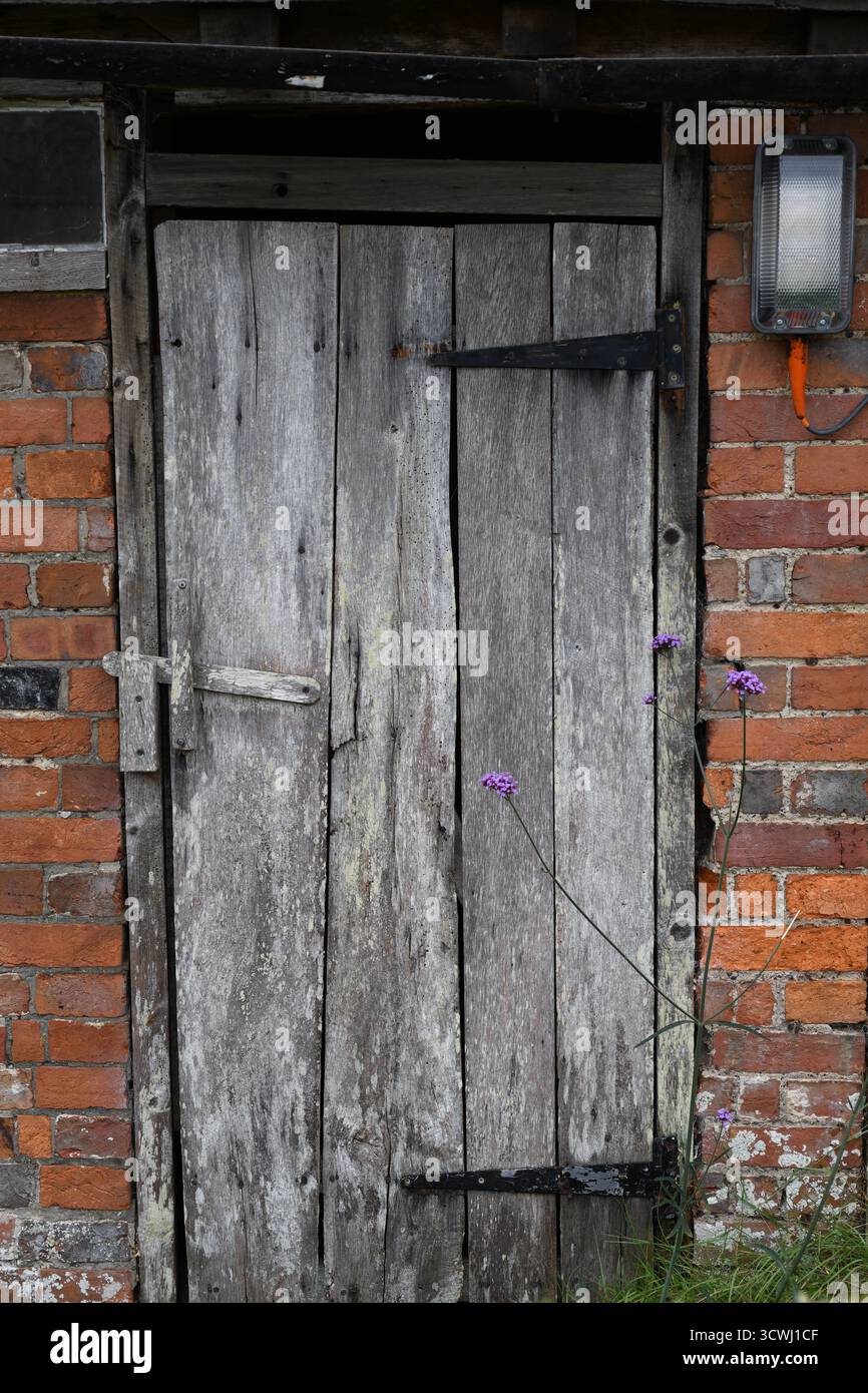 Alte verriegelte Scheunentür Stockfoto