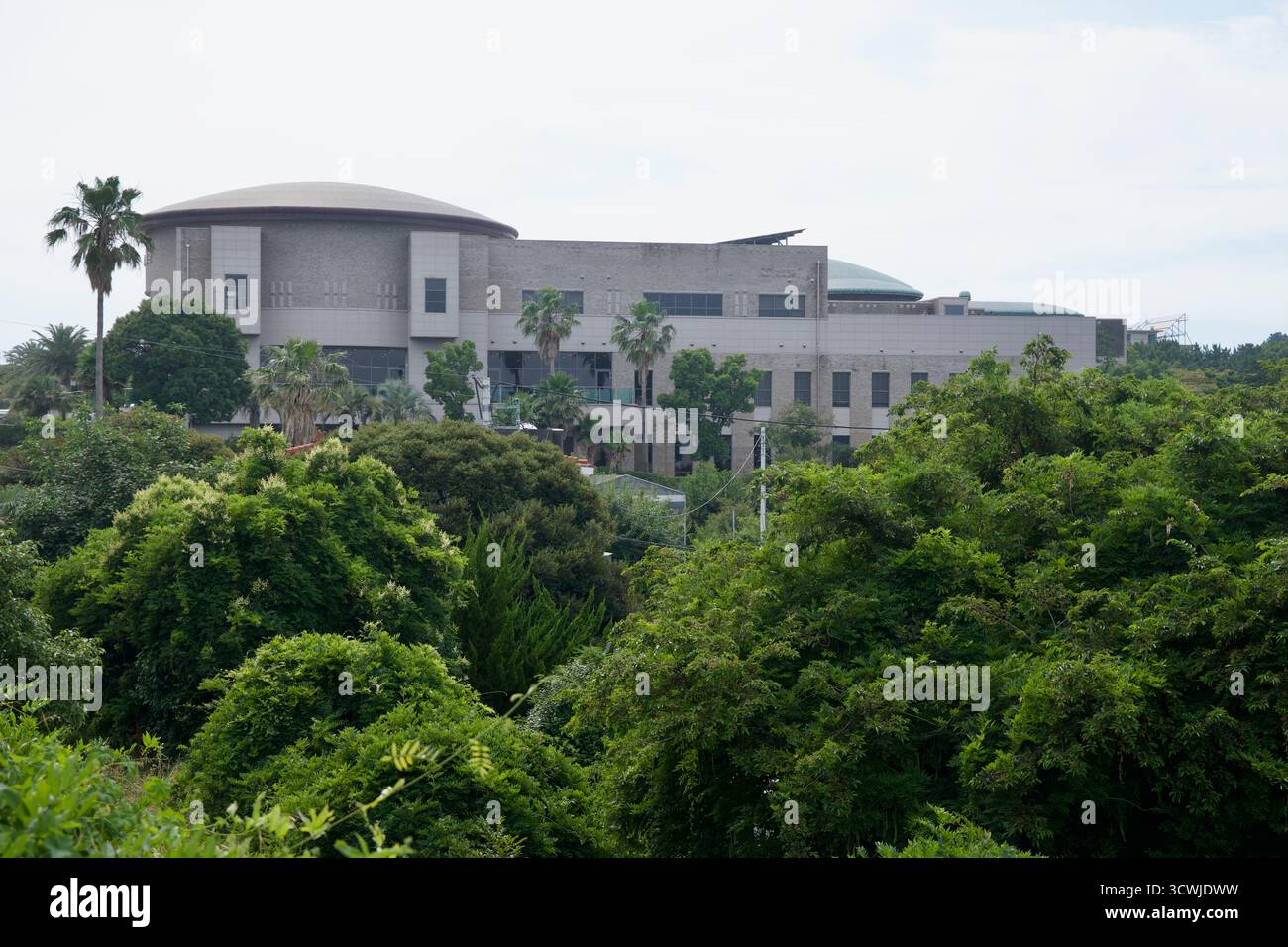 Die abgerundeten, kuppelgekrönten Volumen des Jeju National Museum ragen über Palmen und bewaldeten Gelände auf der Ostseite von Jeju hervor. Stockfoto