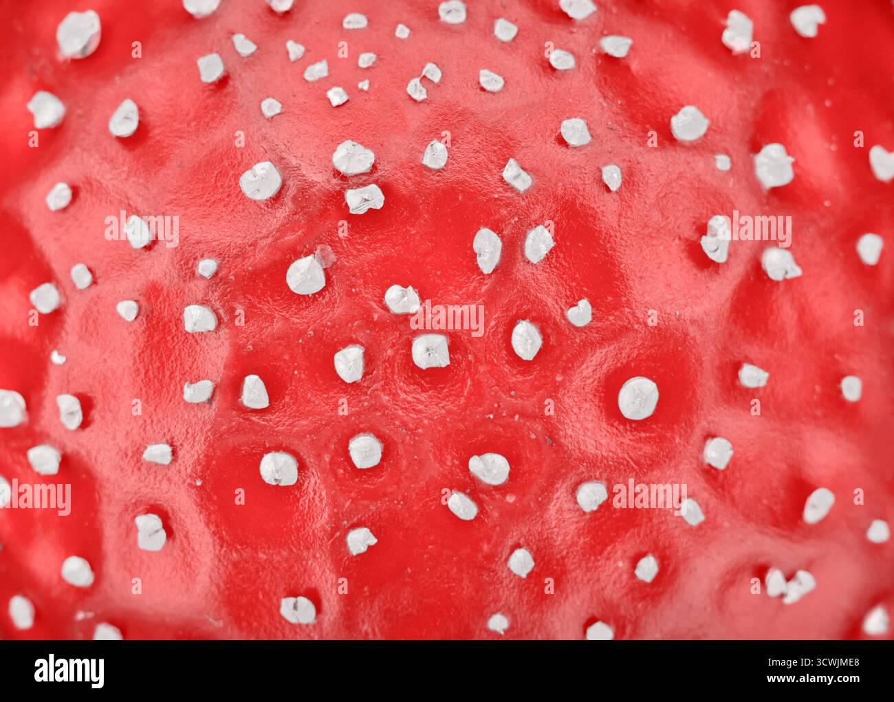 Foto der Textur einer Fliegenpilzmütze, abstrakter natürlicher Hintergrund. Stockfoto