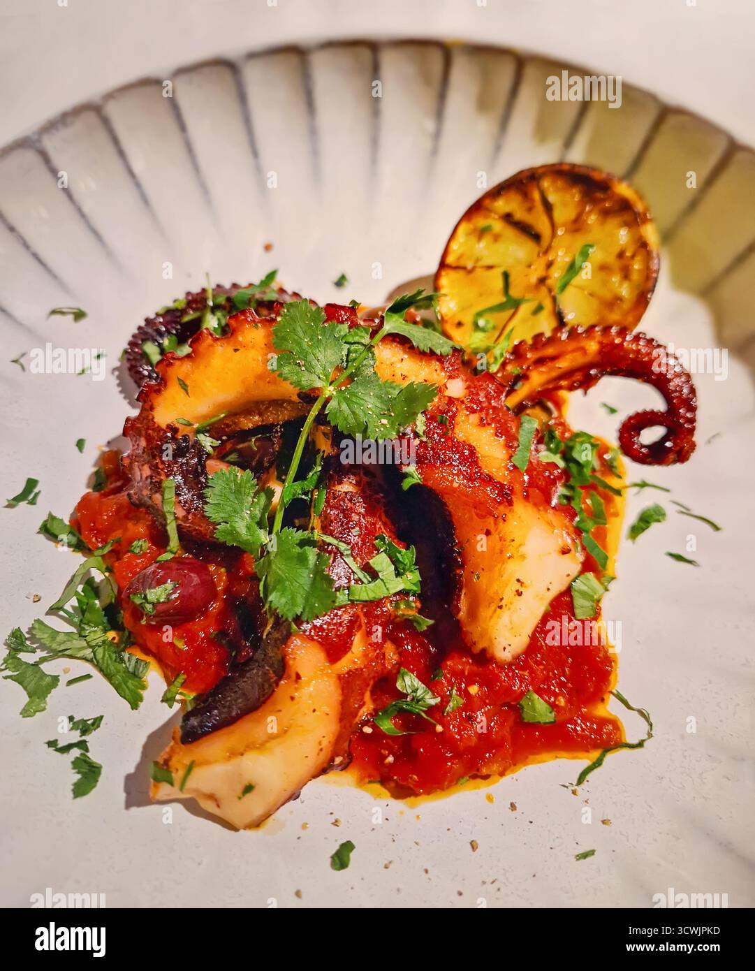 Ein reichhaltiges Gourmet-Gericht mit Meeresfrüchten aus nächster Nähe. Zarte, verkohlte Kraken-Tentakeln auf einem Bett aus dicker Tomatensauce, garniert mit frischem Koriander oder Petersilie und Auto Stockfoto