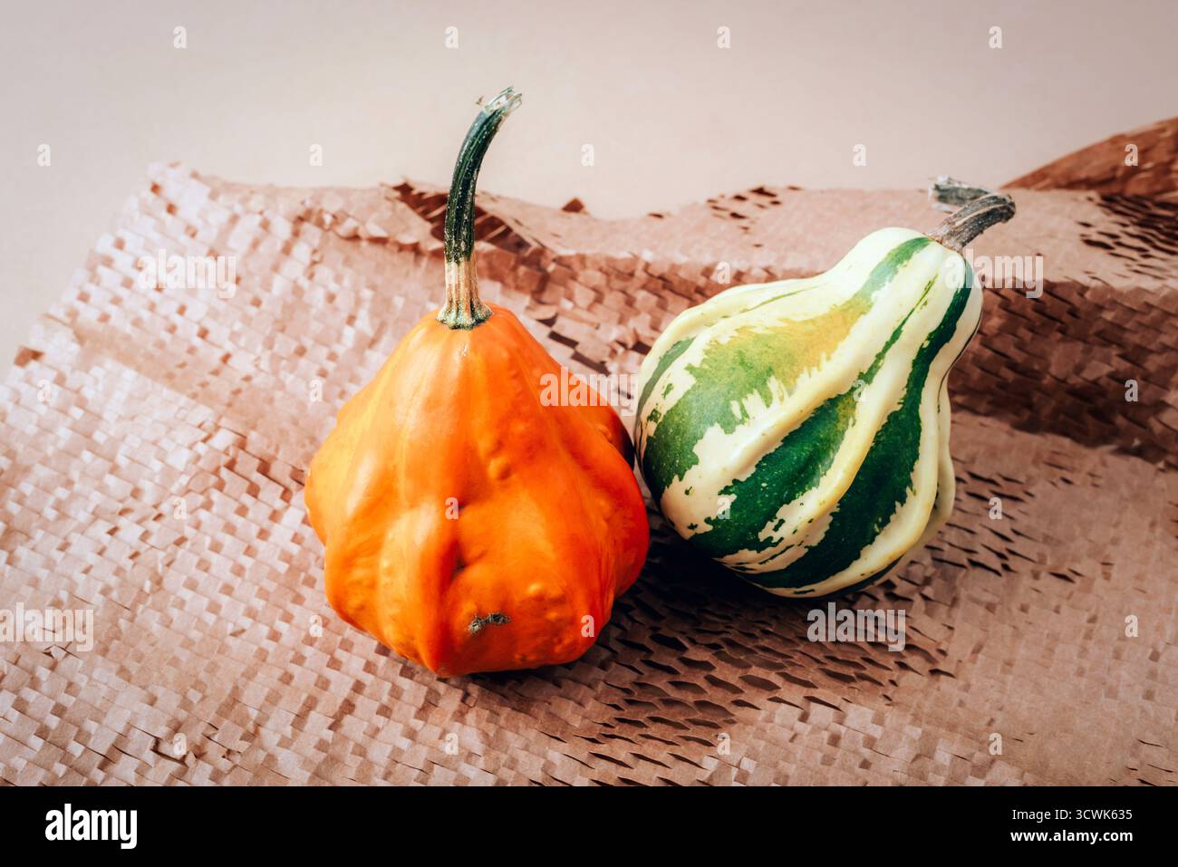 Zwei dekorative mehrfarbige Kürbisse auf einem Bastelpapier Hintergrund. Herbstferien, Halloween, Thanksgiving-Konzept. Nahaufnahme. Stockfoto