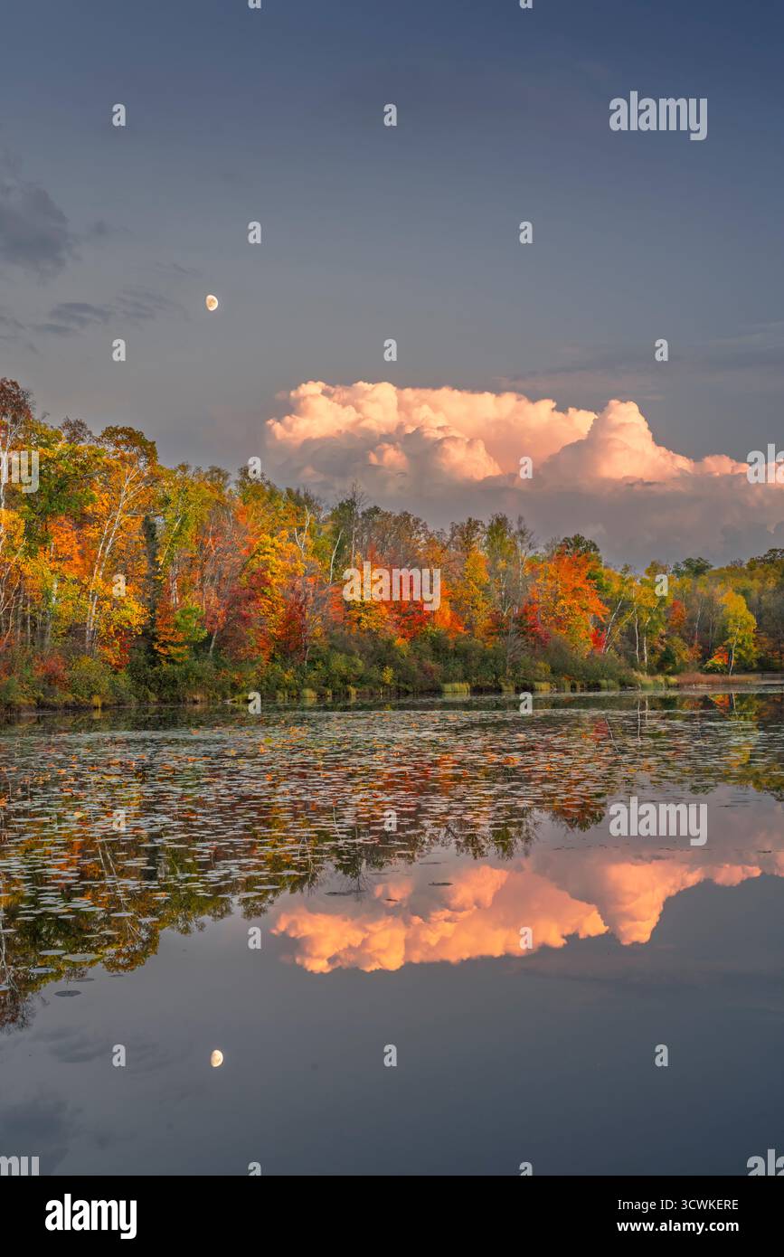 Herbstfarben und Wolken spiegeln sich im Wabena Lake, Minnesota, USA. Stockfoto