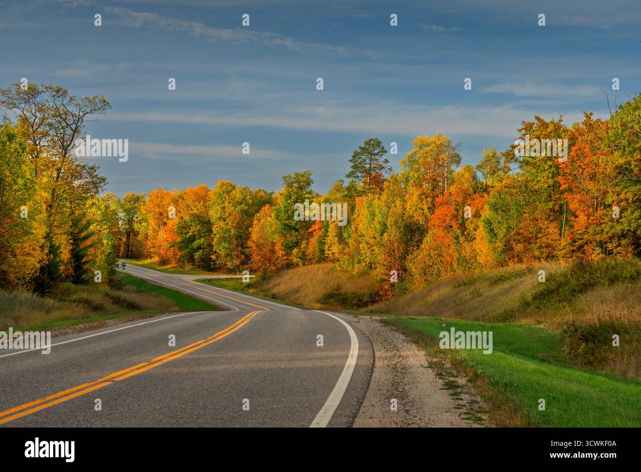 Herbstlaub am Highway 38 nördlich von Grand Rapids, Minnesota, USA. Stockfoto