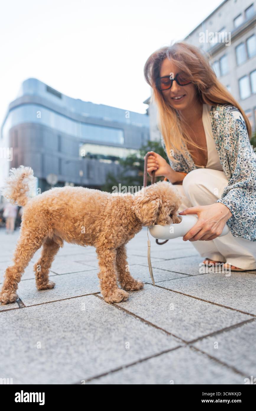 Frau, die ihrem Hund mit lockigem Haar Wasser auf Einer City Street während Eines Spaziergangs gibt. Warmer Sommertag, urbaner Hintergrund, fürsorglicher Tierbesitzer Moment, Hydration und L Stockfoto