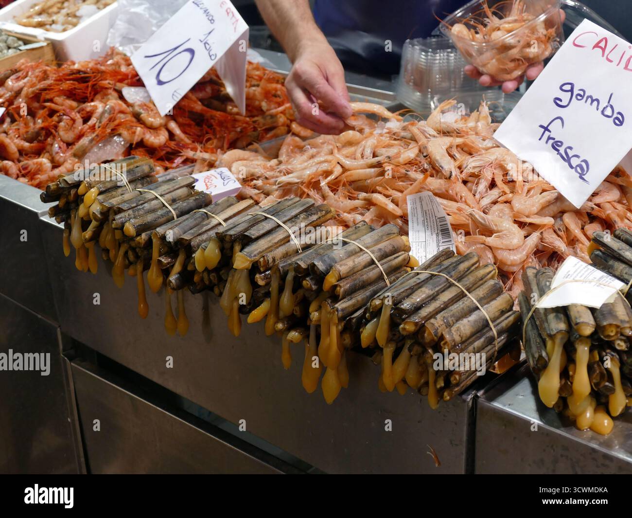 CADIZ, SPANIEN - 21. März 2024 - Fischhändler organisieren eine Auswahl an frischen Meeresfrüchten und zeigen Garnelen und Muscheln auf dem glänzenden Metallmarkt Stockfoto