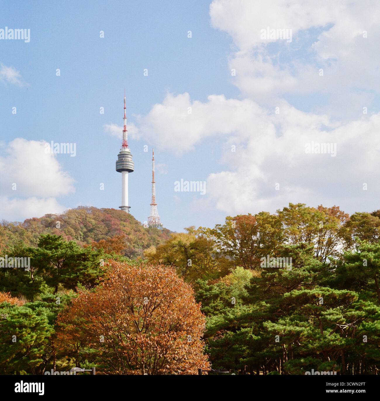 Herbstansicht des Namsan Seoul Tower (Kpop Dämonenjäger Filmspot) mit farbenfrohen Herbstbäumen in Südkorea, fotografiert mit der Rolleiflex-Filmkamera Stockfoto