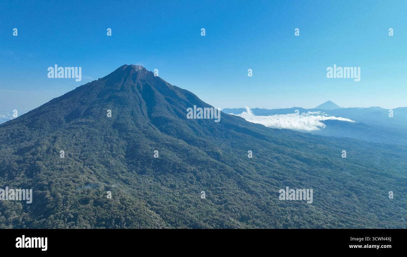 Ein majestätischer vulkanischer Gipfel erhebt sich über einem üppig grünen Wald, dessen Hänge scharf vor dem klaren blauen Himmel definiert sind und einen atemberaubenden Blick auf die Schönheit von Flores bietet. Stockfoto