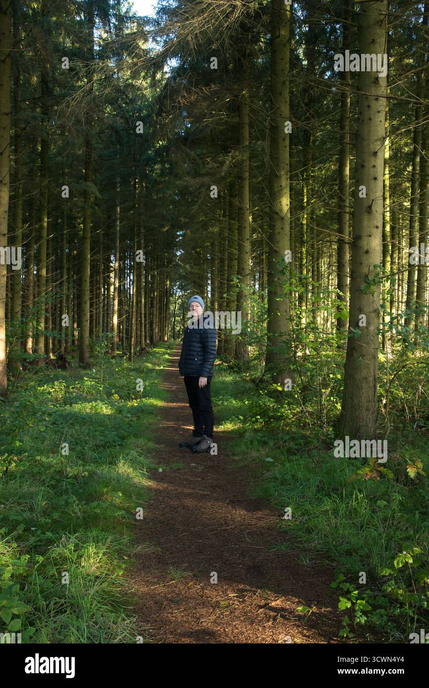 Mann im herbstlichen Kiefernwald mit Sonnenstrahlen durch die Bäume Stockfoto