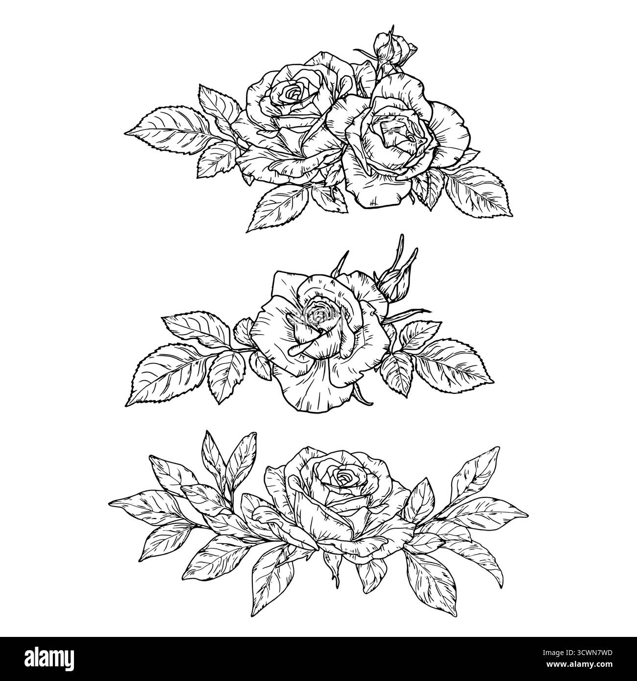 Rosenstrauß mit Knospen und Blütenblättern, schwarz-weiße Skizze. Vektorabbildung. Eine Reihe von Silhouetten auf weißem Hintergrund. Sträuße von e Stock Vektor