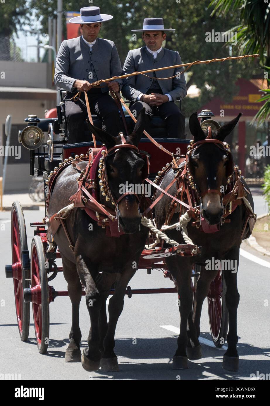 Sevilla, Spanien - 23. April: Zwei Männer in traditioneller Kleidung fahren an einem sonnigen Tag mit einer Pferdekutsche Stockfoto