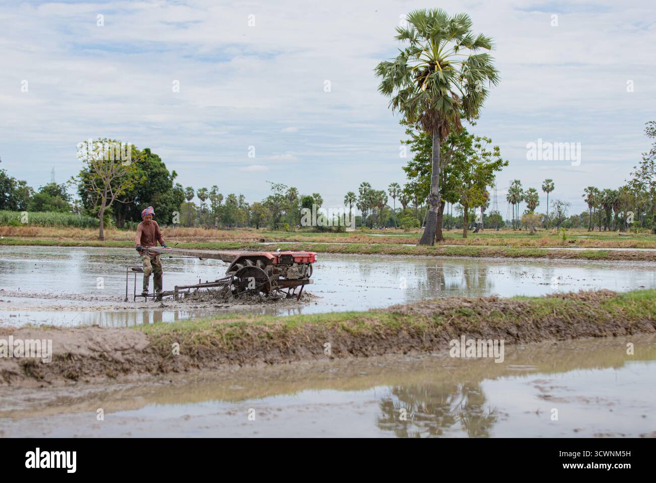 Thailändischer Bauer pflügt überflutetes Reisfeld mit Traktor Stockfoto