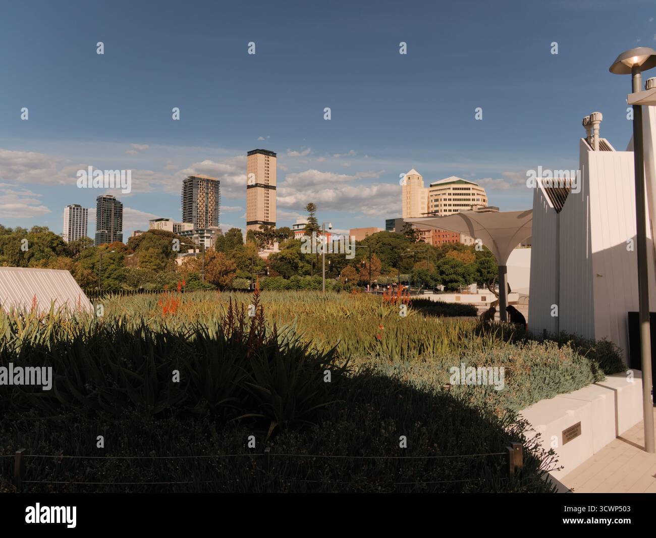 Kontrast in Adelaide: Moody Schatten und helles Sonnenlicht heben das moderne Stadtzentrum von einem Blick auf den botanischen Garten hervor. Vermittelt ein Gefühl der Ruhe, Stockfoto