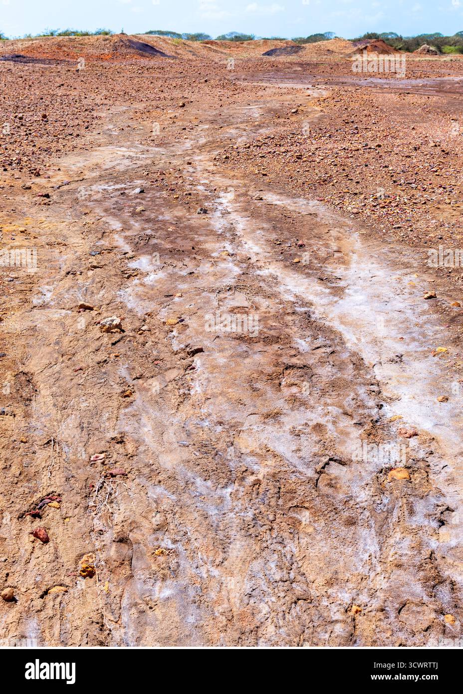 Sarigua ist eine der ältesten Siedlungsstätten von Panama mit Artefakten, die über 11.000 Jahre alt sind. Holzeinschlag für freiliegenden Boden. Starke Winde und Stockfoto