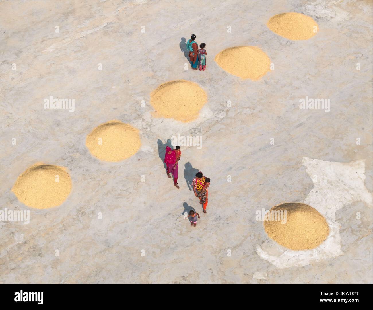 Dhaka, Bangladesch - 16. Februar 2025: Aus der Luft sehen Frauen in hellen Kleidern, die in einer sonnengebackenen, hellen Landschaft inmitten von Reishaufen arbeiten. Stockfoto