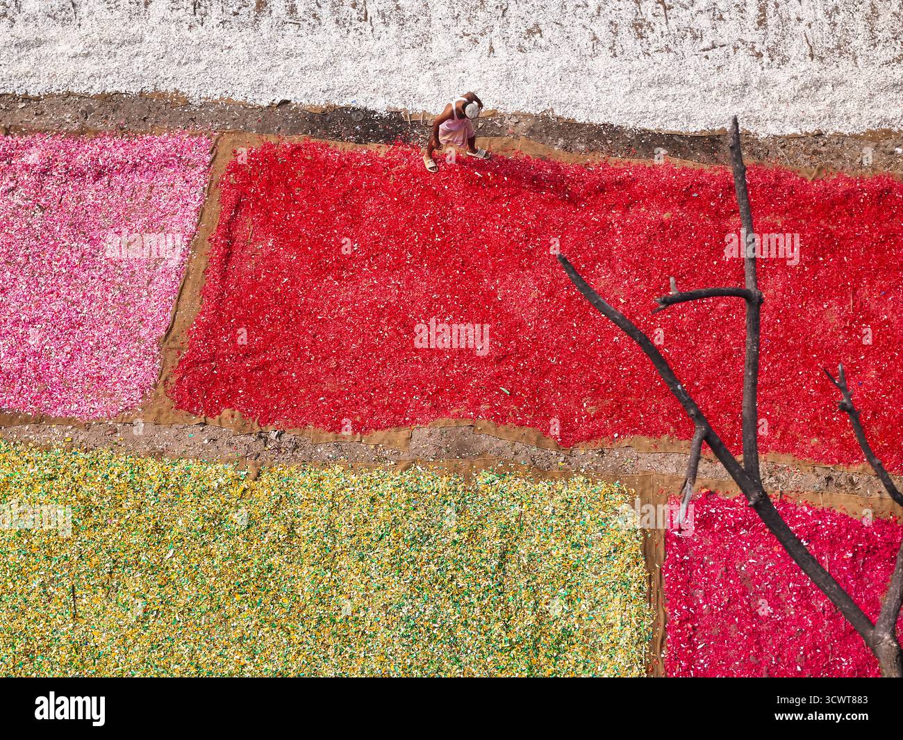 Dhaka, Bangladesch - 17. Februar 2025: Aus der Vogelperspektive leuchtendes rotes, rosafarbenes, gelbes und weißes Material, das sich über den Boden in der Nähe von Dhaka verteilt, wodurch ein PA entsteht Stockfoto