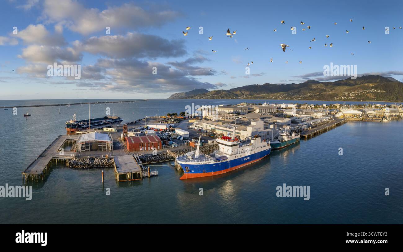 Nelson, Neuseeland - 19. September 2025: Aus der Vogelperspektive auf einen lebhaften Hafen, in dem blaue und orangene Fähren an verwitterten Docks ruhen und von hoch aufragenden Vögeln bewacht werden. Stockfoto