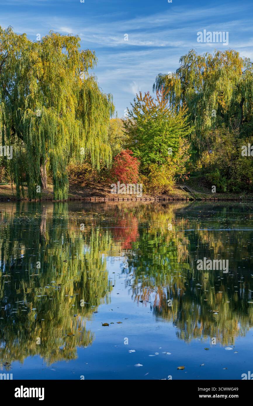 Moczydlo Park idyllische Landschaft mit Teich und Bäumen mit Reflexion im Wasser, Stadt Warschau, Polen. Stockfoto