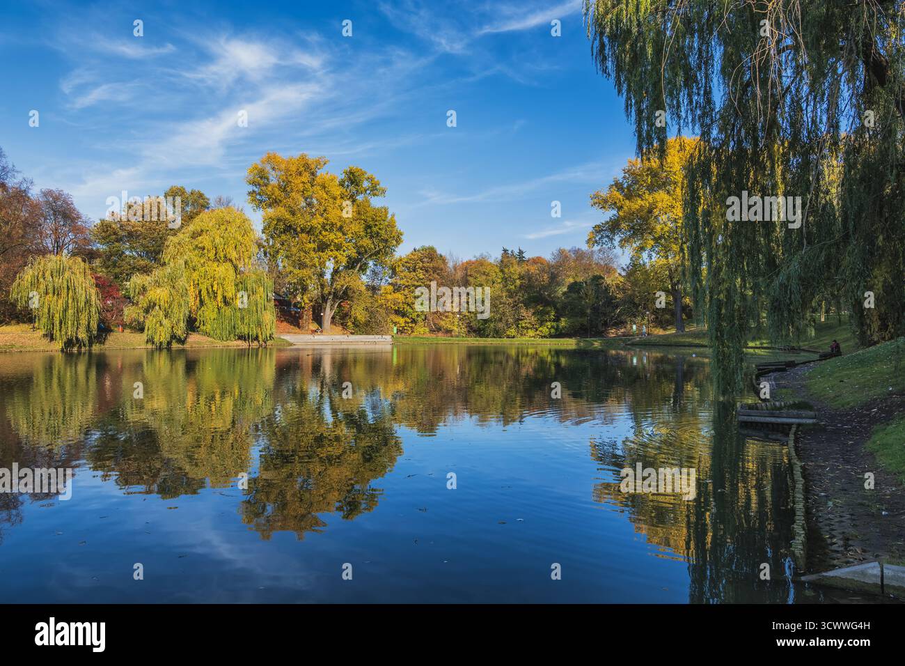 Moczydlo Park idyllische Herbstlandschaft mit Teich und Bäumen mit Reflexion im Wasser, Stadt Warschau, Polen. Stockfoto