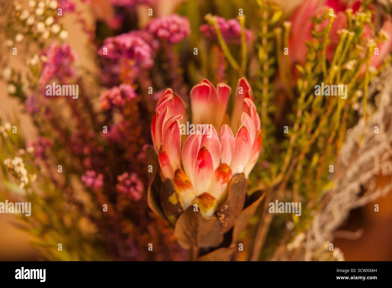 Lebendiges Blumenarrangement mit rosa Protea und südafrikanischem Fynbos 16699 Stockfoto