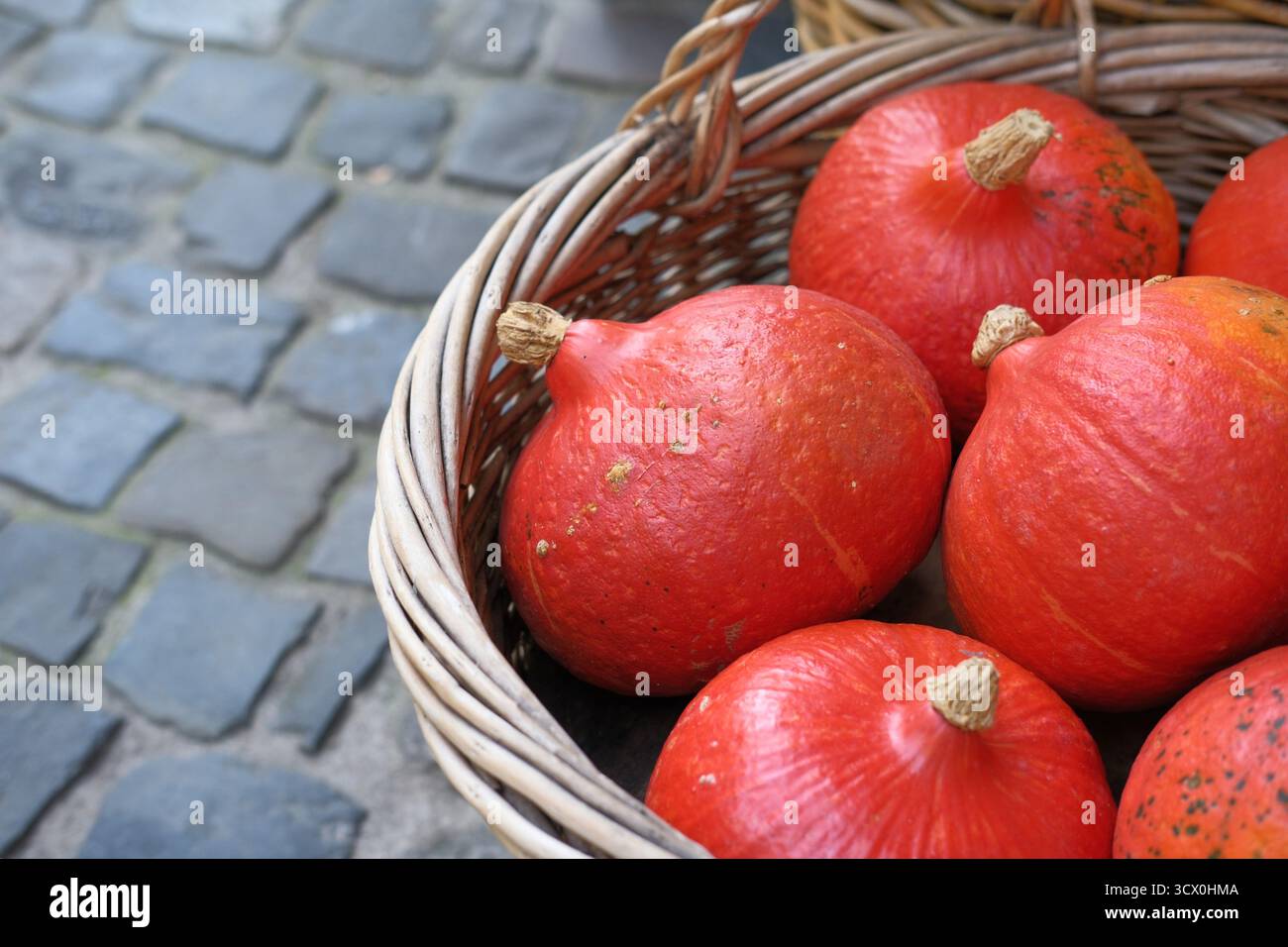 Knallorange Kürbisse im Korb auf der Straße. Halloween-Feier, Dekoration für Geschäfte und Geschäfte, lokale Märkte mit Bio-Gemüse im Herbst Stockfoto