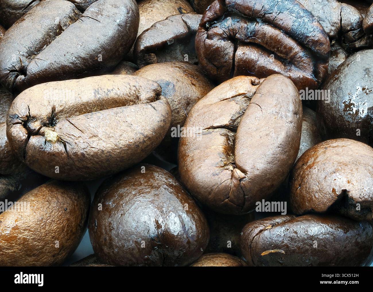 Verschiedene Sorten frisch gerösteter Kaffeebohnen stapeln sich zusammen und zeigen satte Farben und Texturen, während warmes Morgenlicht ihre n unterstreicht Stockfoto