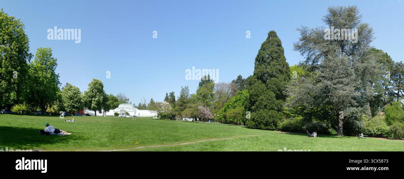 Üppiges Grün und lebendige Blüten sorgen für eine ruhige Szene im Volunteer Park, Seattle, wo ein Mann auf einer Parkbank Trost findet. , Volunteer Park Cons Stockfoto