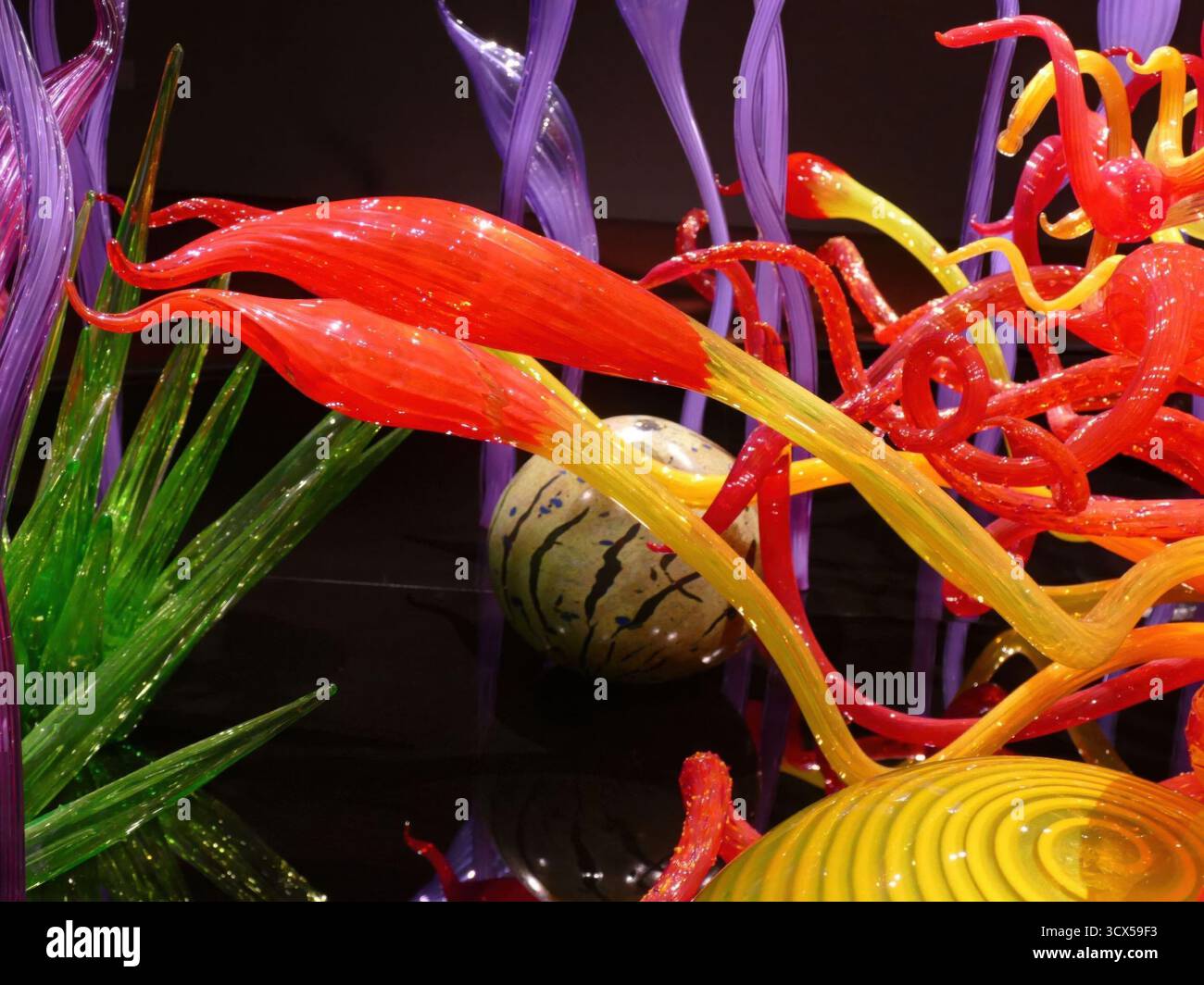 SEATTLE - 25. APR 2025 - leuchtend orange, gelb, grün und lila Glasskulpturen bilden eine abstrakte Darstellung exotischer Unterwasserpflanzen, Featurin Stockfoto