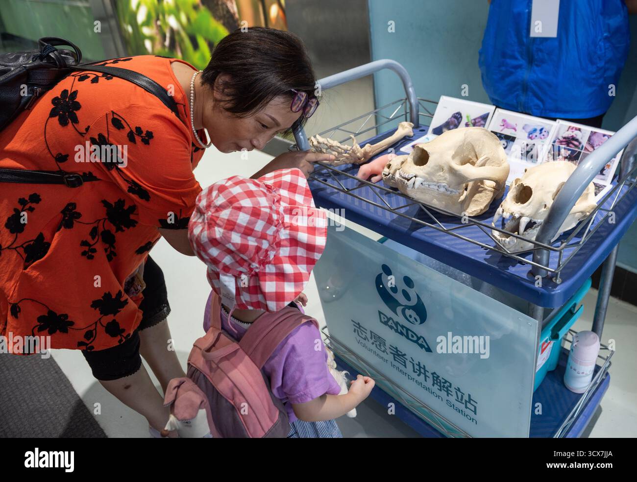 Chengdu, China - 28. September 2018: Mutter und Kind an der Lernstation des Panda Scientific Discovery Center in der Chengdu Research Base in Gia Stockfoto