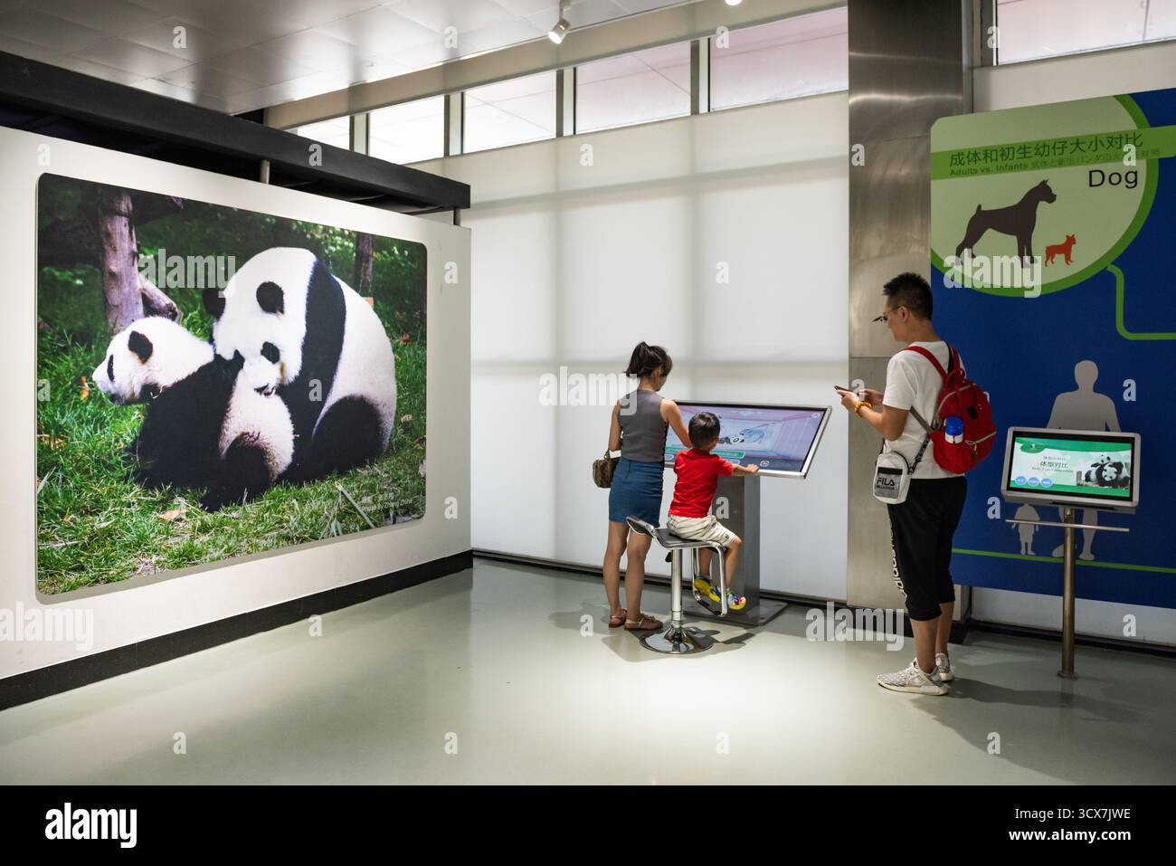 Chengdu, China - 28. September 2018: Familienlernen im Panda Scientific Discovery Center der Chengdu Research Base of Giant Panda Breeding. Stockfoto
