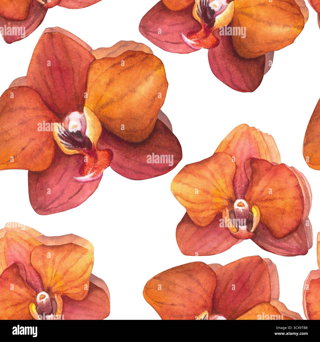 Phalaenopsis Blossom Orange Orchidee. Nahtloses Muster. Für Tapeten und Textilien. Aquarellabbildung auf transparentem Hintergrund. Handgezeichnet. Stockfoto