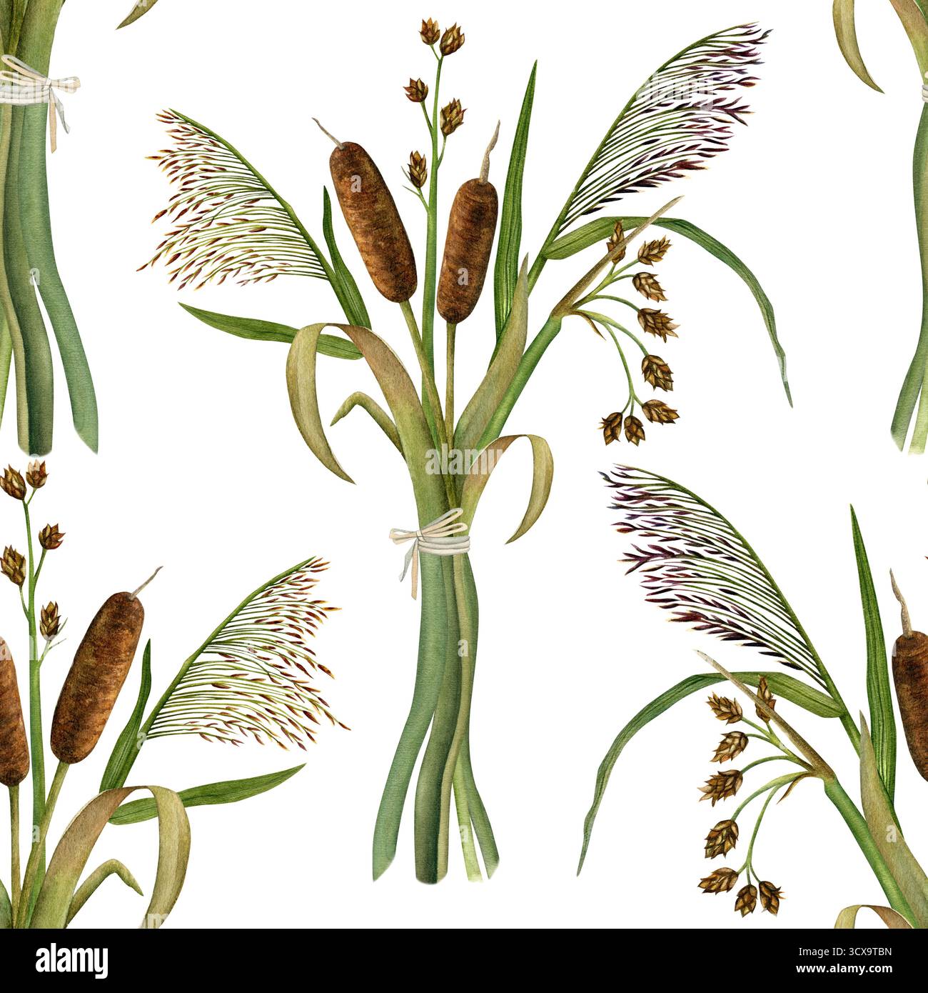 Nahtloses Bouquet aus Zöpfen, Schilf und Sträuchern. Handgezeichnete Aquarellillustration Stockfoto