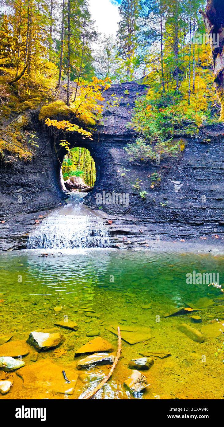 Das Auge der Natur - Smartphone-aufgenommenes Stockfoto