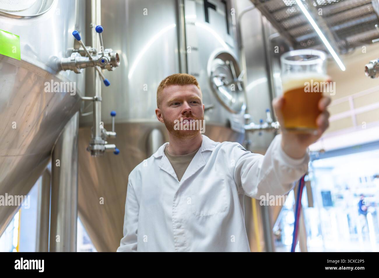 Brauereiarbeiter, der Qualitätskontrollen durchführt, indem er ein Glas bernsteinfarbenes Craft-Bier untersucht, Produktionsstandards sicherstellt und das Getränk auf Clar bewertet Stockfoto