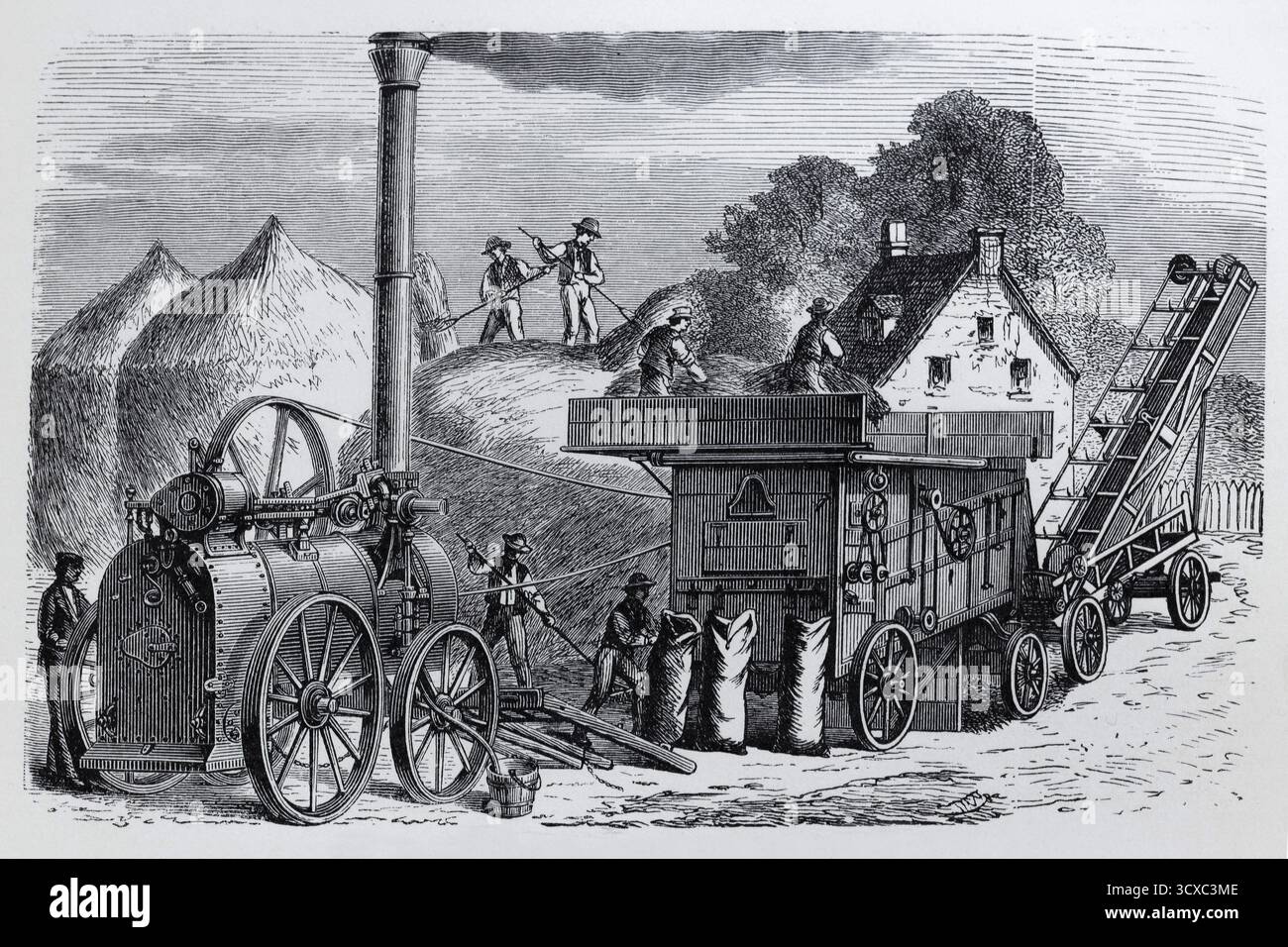 Dampfdreschmaschine mit Stangenvorrichtung und Strohelevator, Landwirtschaft um 1900, historische Buchabbildung, Stahlstich Stockfoto