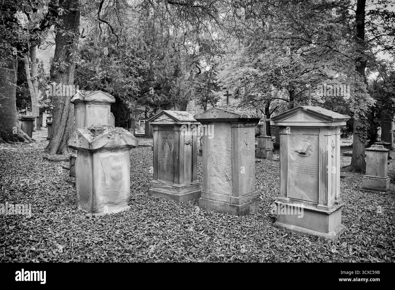 Grabsteine, Grab, Gräber, Friedhof Hoppenlauf, ältester erhaltener Friedhof in Stuttgart, schwarz-weiß, Herbstlaub, Herbst, Herbst, Herbst, Baden-Wuert Stockfoto
