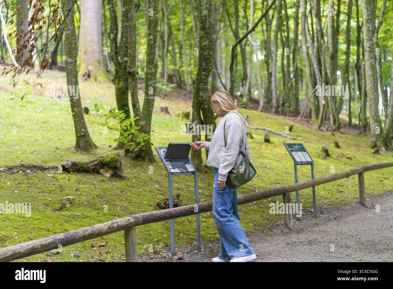 Frau, die auf Informationstafeln in einem ruhigen Wald schaut, Affenberg Salem, Bodenseebezirk, Deutschland Stockfoto