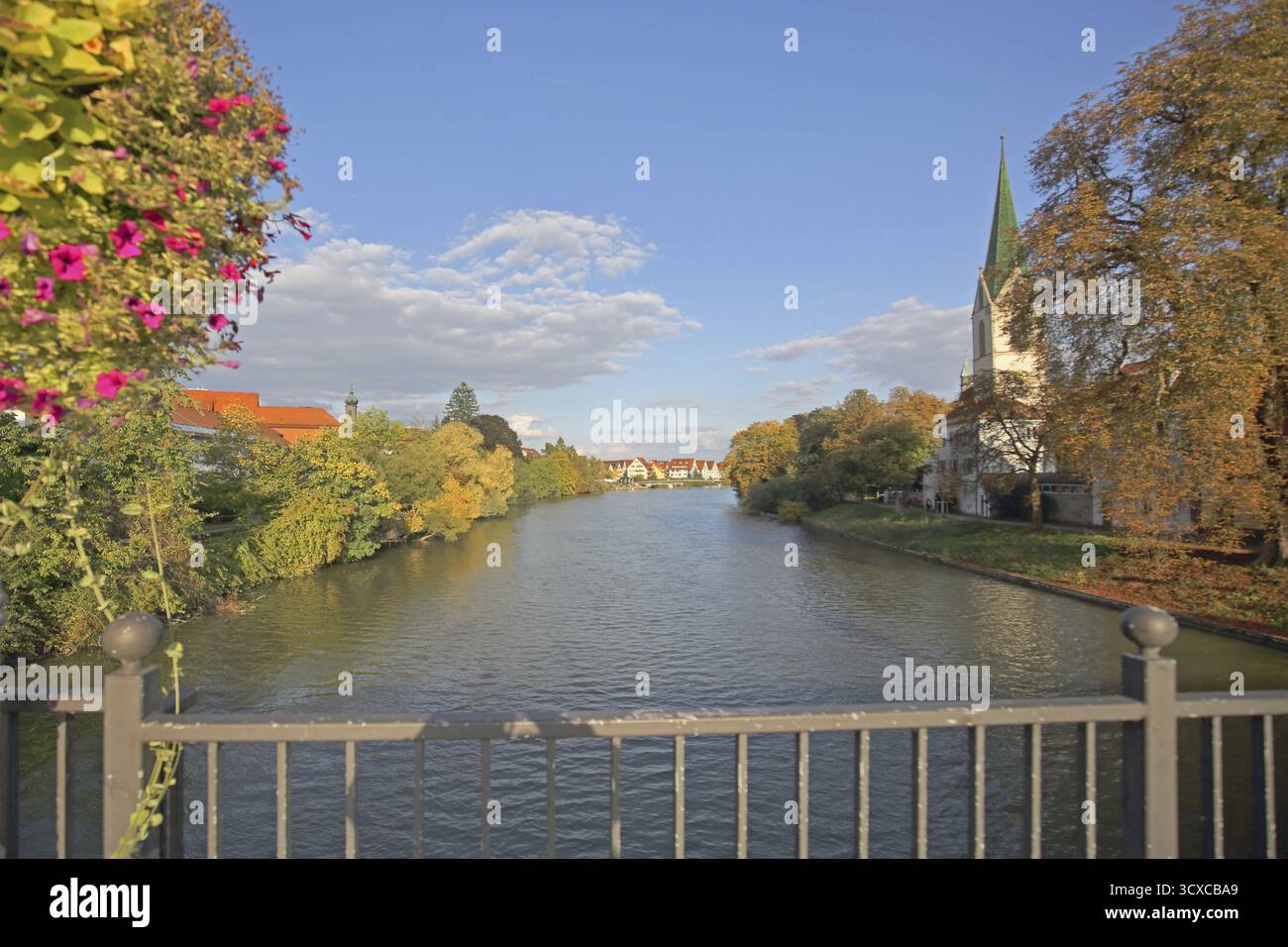 Stiftskirche St. Moriz im 14. Jahrhundert erbaut und Neckar mit Brückengeländer und Blumendekoration, Neckarufer, Flusslandschaft, Rottenburg A. Stockfoto