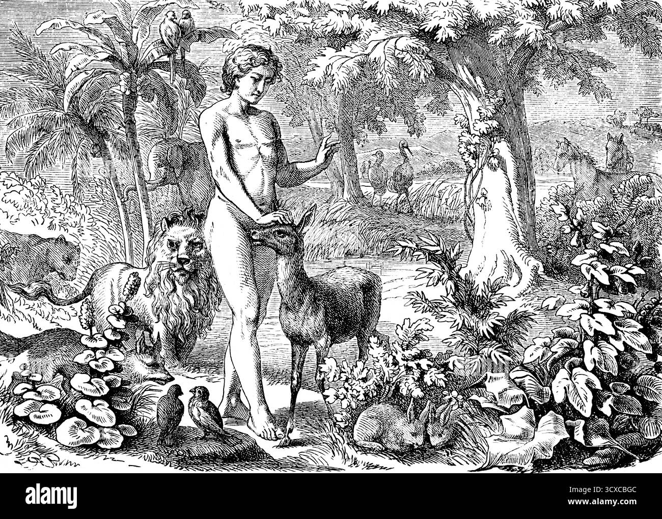 Erstes Buch der Genesis, Kapitel 1, Genesis, Schöpfung des Menschen, die Pflanzenwelt, die Tiere, der Mensch gibt jedem Tier einen Namen, Natur, Wildnis, Bäume, pla Stockfoto