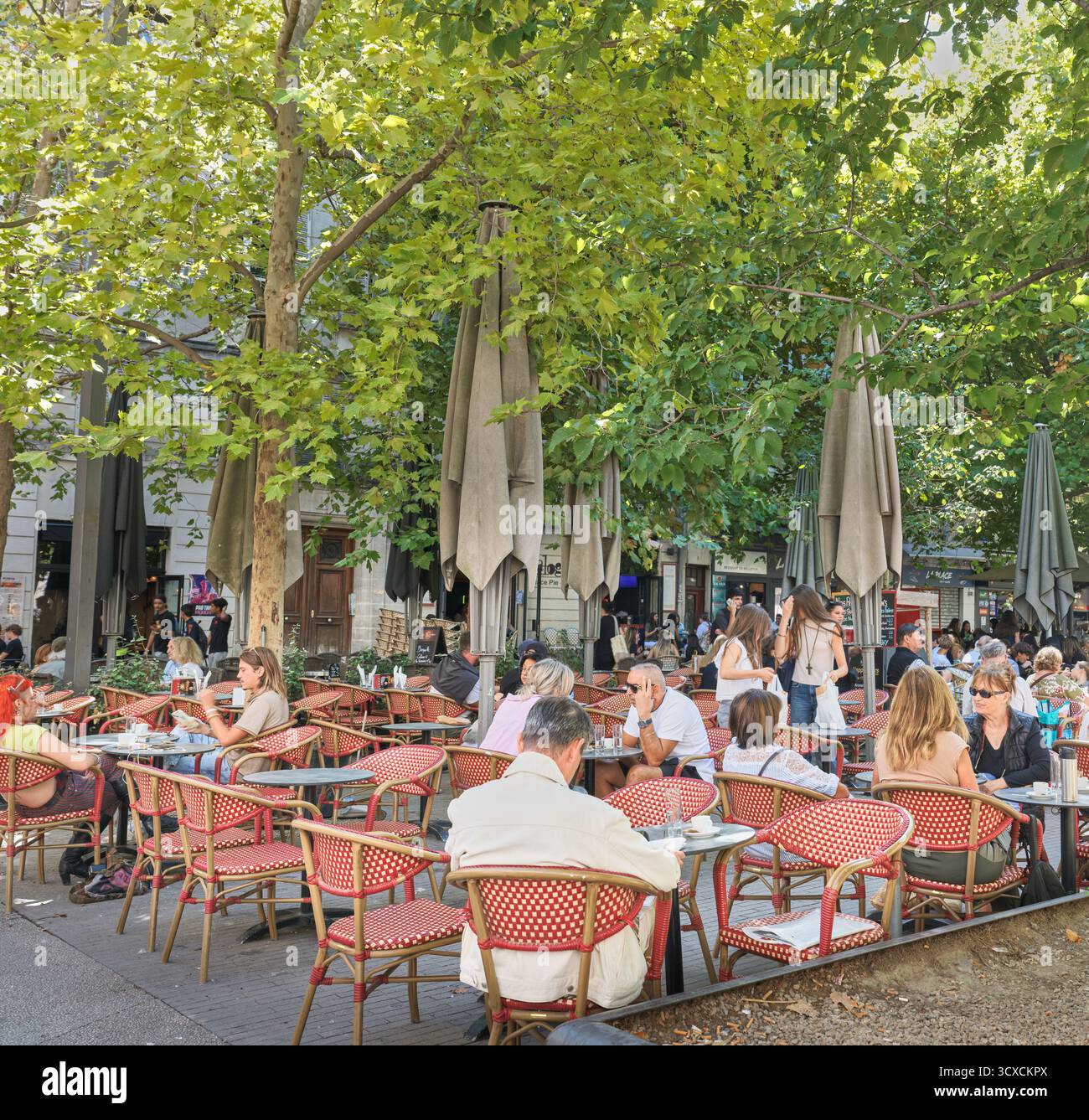Café im Freien im Schatten von Bäumen, Avignon, Frankreich. Stockfoto